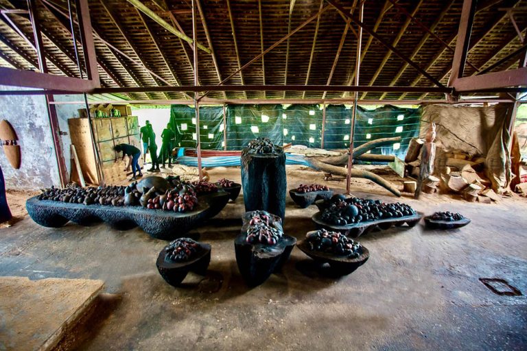 GUIDE THEIR WAY HOME, Altars Of Our Heart, Our Children, Our Children’s Children, 2021, guango, cedar, mahogany, 20’ x 30 ‘ x 7’