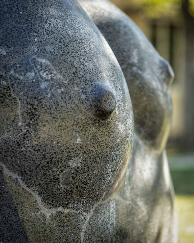 EARTH TO EARTH, 1999, cement & marble chips, steel, mesh wire, University of Technology, Kingston, Jamaica